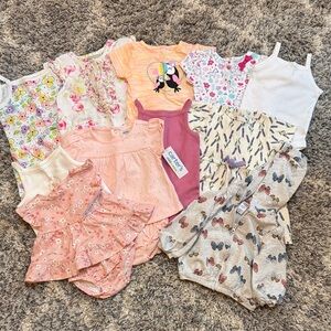 Lot of Baby Girl Clothes (6-9M)